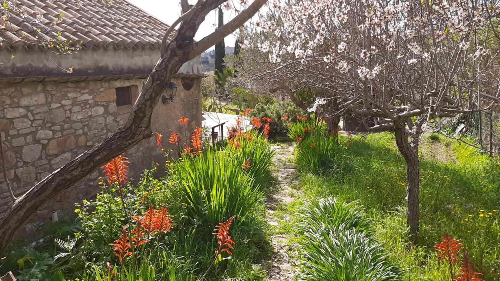 Hotel Baglio Anastè Buseto Palizzolo Esterno foto